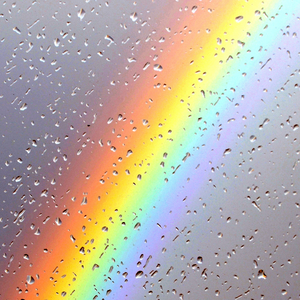 成人免费观看高清在线毛片
