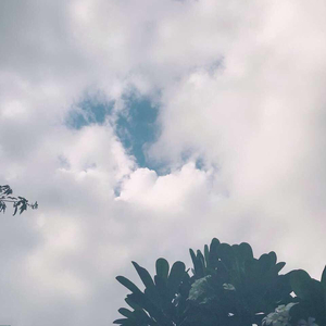 成人免费观看高清在线毛片
