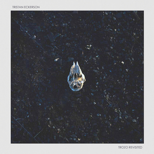 成人免费观看高清在线毛片
